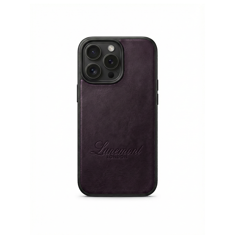 The Atelier Case